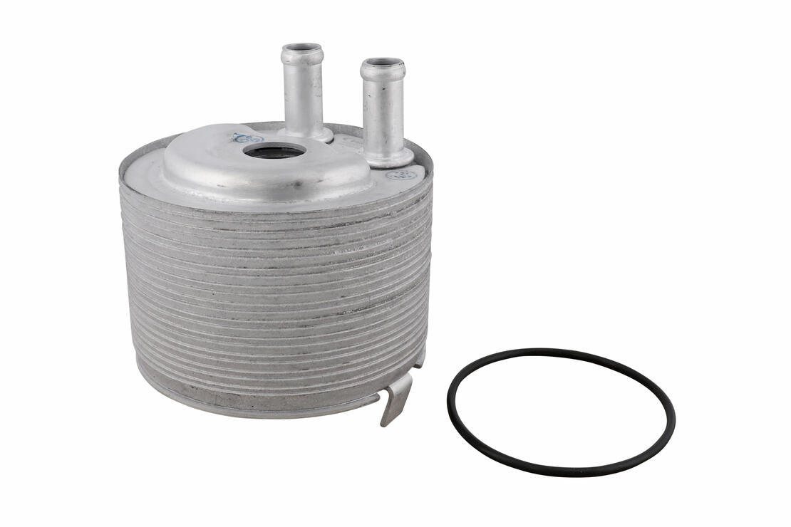 Ackoja A38600012 Oil Cooler, Engine Oil | ML Performance Car Parts