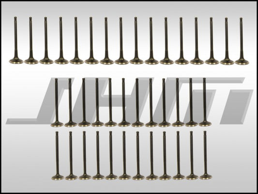 JHM JHM-B6B7S4VS HD Valve Set (JHM)-Intake and Exhaust-Heavy Duty-Coated for B6-B7 S4-C6 A6 and C5 allroad w chain 4.2L 40v
