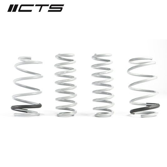 CTS Turbo CTS-LS-009 Turbo MK8 Golf GTI Lowering Spring Set