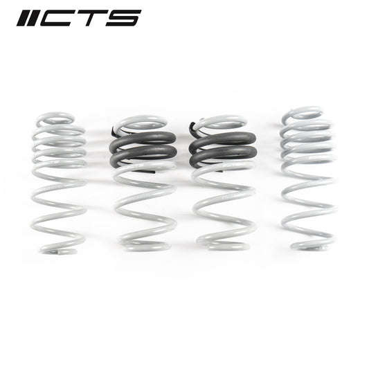 CTS Turbo CTS-LS-012 Turbo B8/B8.5 Audi A4/S4 Lowering Spring Set