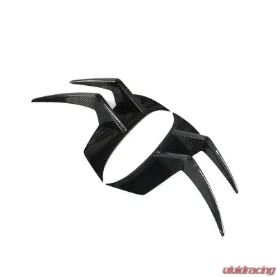 Vivid Racing VR-AMG-600 VR Aero Carbon Fiber Front Bumper Canards Mercedes AMG GT-R 2016-2019