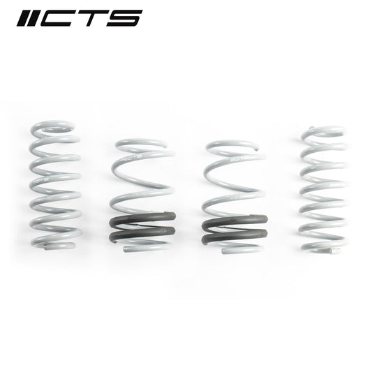 CTS Turbo CTS-LS-011 Turbo Audi 8V S3/RS3 Lowering Springs