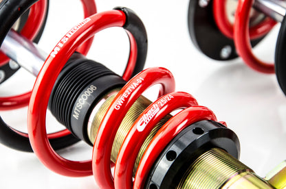 MTS Technik MTSGWSA03 STREET COILOVER KIT (GOLD) FOR CADILLAC BLS WAGON