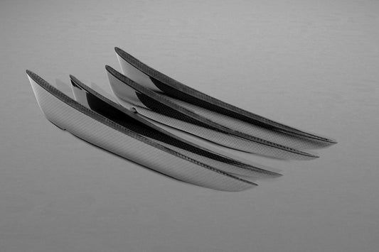 Capristo 03FE00410019LM Ferrari 458 Speciale Carbon Front Fins (Matte) 