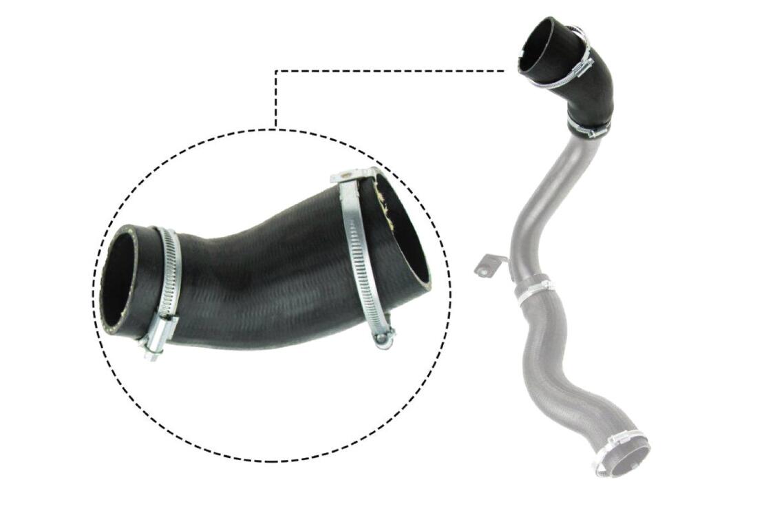 VAICO V251029 Charge Air Hose | ML Performance Car Parts