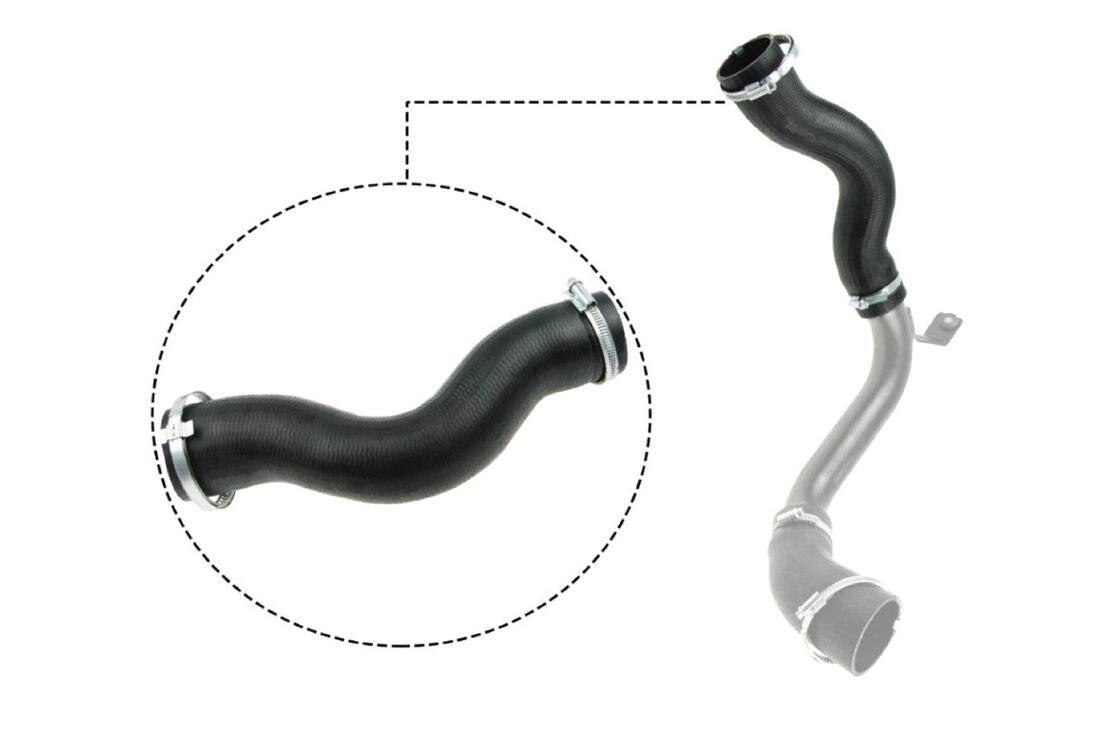 VAICO V251030 Charge Air Hose | ML Performance Car Parts