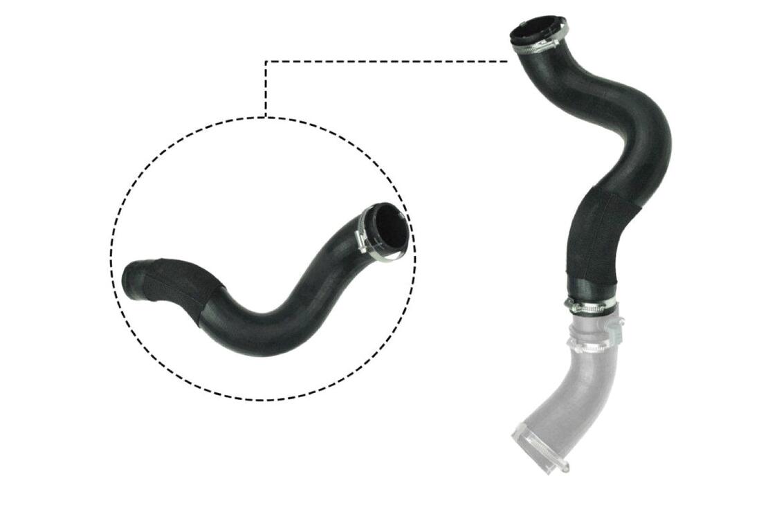 VAICO V251047 Charge Air Hose | ML Performance Car Parts