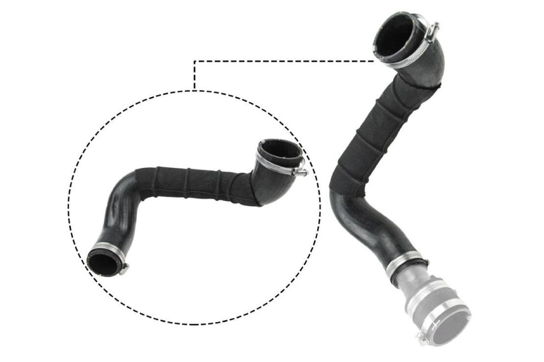 VAICO V251049 Charge Air Hose | ML Performance Car Parts