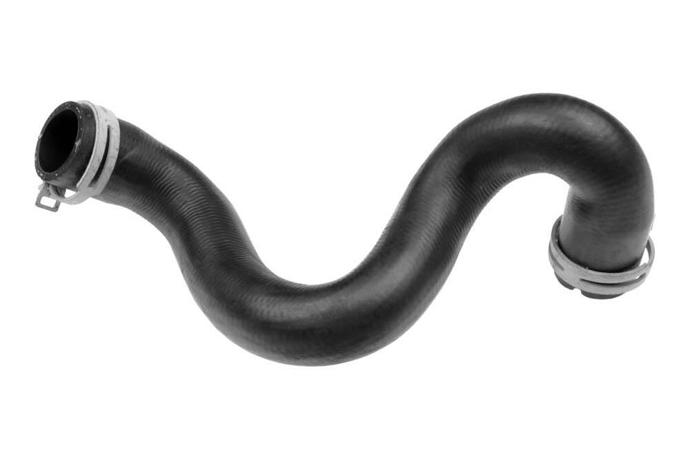 VAICO V251982 Radiator Hose | ML Performance Car Parts