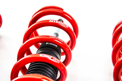 MTS Technik XMTSGWBM18 STREET COILOVER KIT (INOX) FOR BMW 5 (E60)