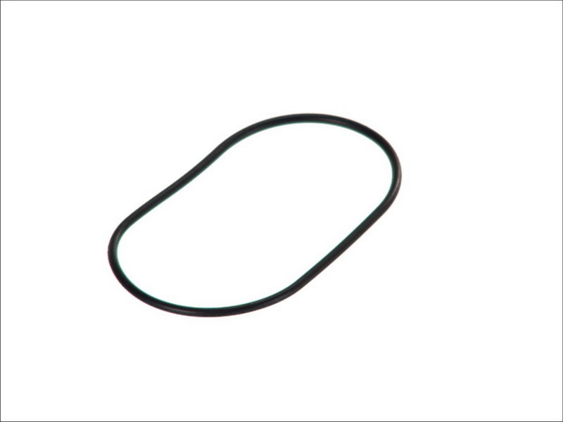 BOSCH 0204055254 Brake Booster