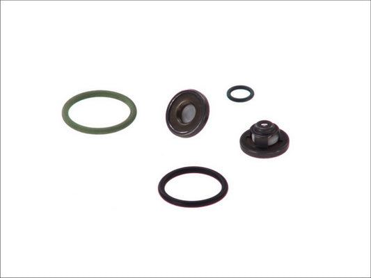 BOSCH 2447010021 Distributor Repair Kit