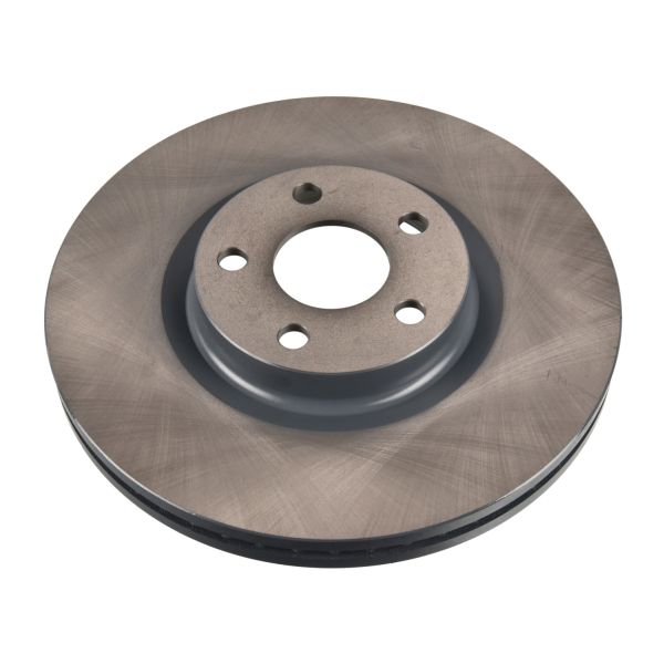 FEBI BILSTEIN FE176973 Brake Disc