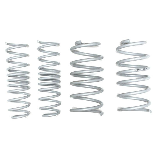 SPEEDMAX VNZW005 Lowering Spring