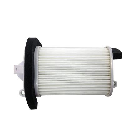 CHAMPION CAF3509 Air Filter