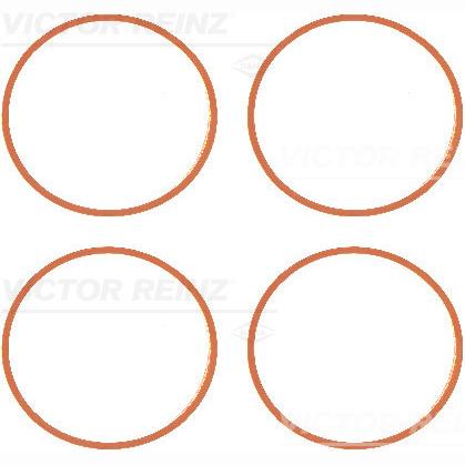 REINZ 11-77639-01 Intake Manifold Gasket Set
