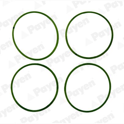 PAYEN HA5032 Intake Manifold Gasket Set