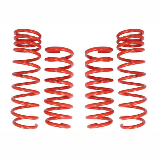 COBRA 01.4139.C Suspension Springs Set