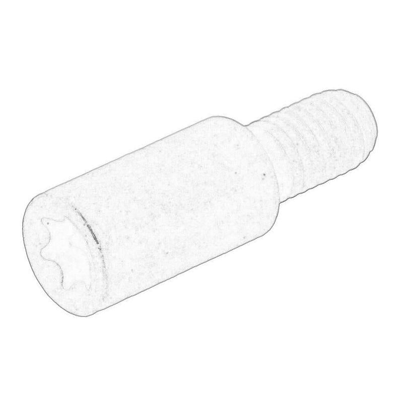 OE BMW 13527797908 Timing Chain Sliding Rail Bolts