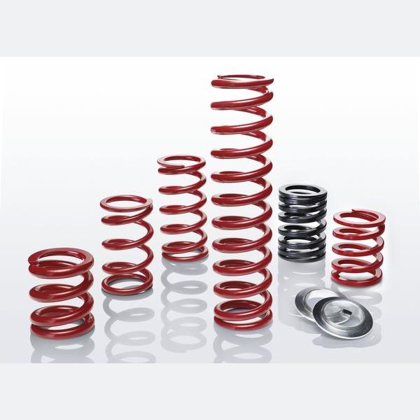 EIBACH ERSH2500600100 Lowering Spring