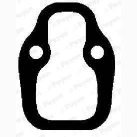 PAYEN JD117 Intake Manifold Gasket