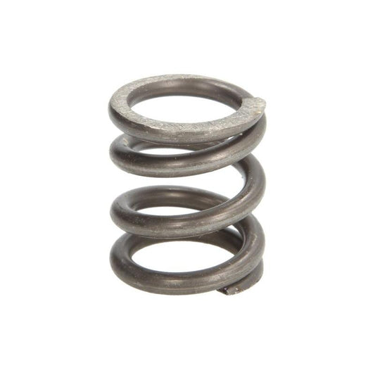 4MAX 0219-15-0019P Exhaust Pipe Spring