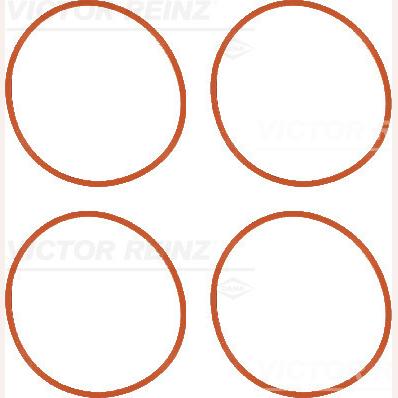 REINZ 11-36956-01 Intake Manifold Gasket Set