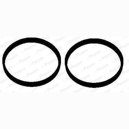 PAYEN HA5072 Intake Manifold Gasket Set