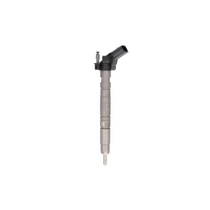 BOSCH 117-019 Injector