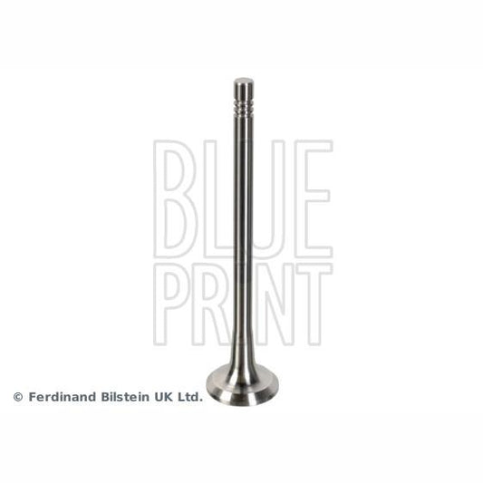 BLUE PRINT ADBP610134 Exhaust Valve