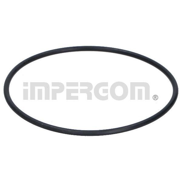 IMPERGOM IMP26119 Oil Pump Gasket Drive