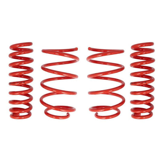 COBRA 01.4119.C Suspension Springs Set