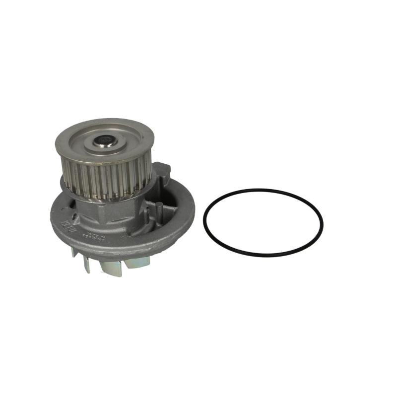HEPU P316 Water Pump