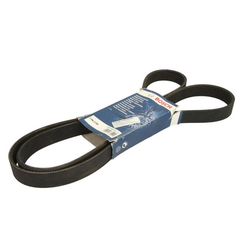 BOSCH 1987948442 V-Ribbed Belt