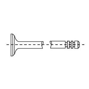 CORTECO CO49409540 Intake Valve