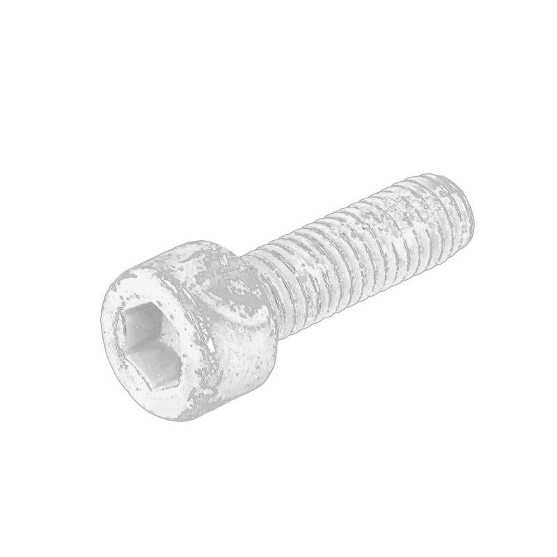 OE VOLVO 111689 Injection Valve Holder Screw