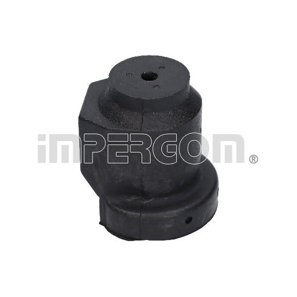 IMPERGOM IMP32205 Control/Trailing Arm Mounting