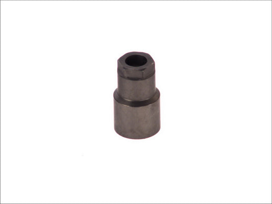 BOSCH J02-219 Injector