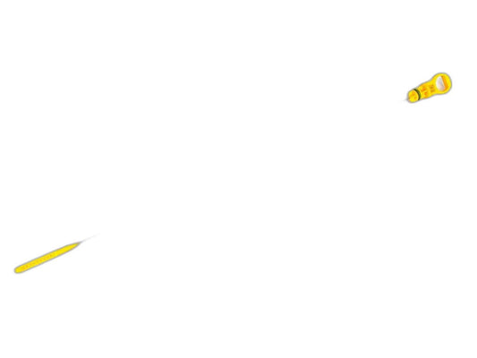 GENUINE FORD 2586207 TRANSIT OIL DIPSTICK 2.0 DIESEL PANTHER