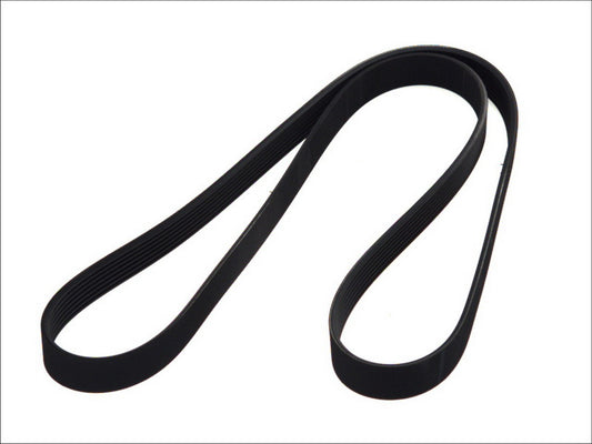 BOSCH 1987946254 V-Ribbed Belt