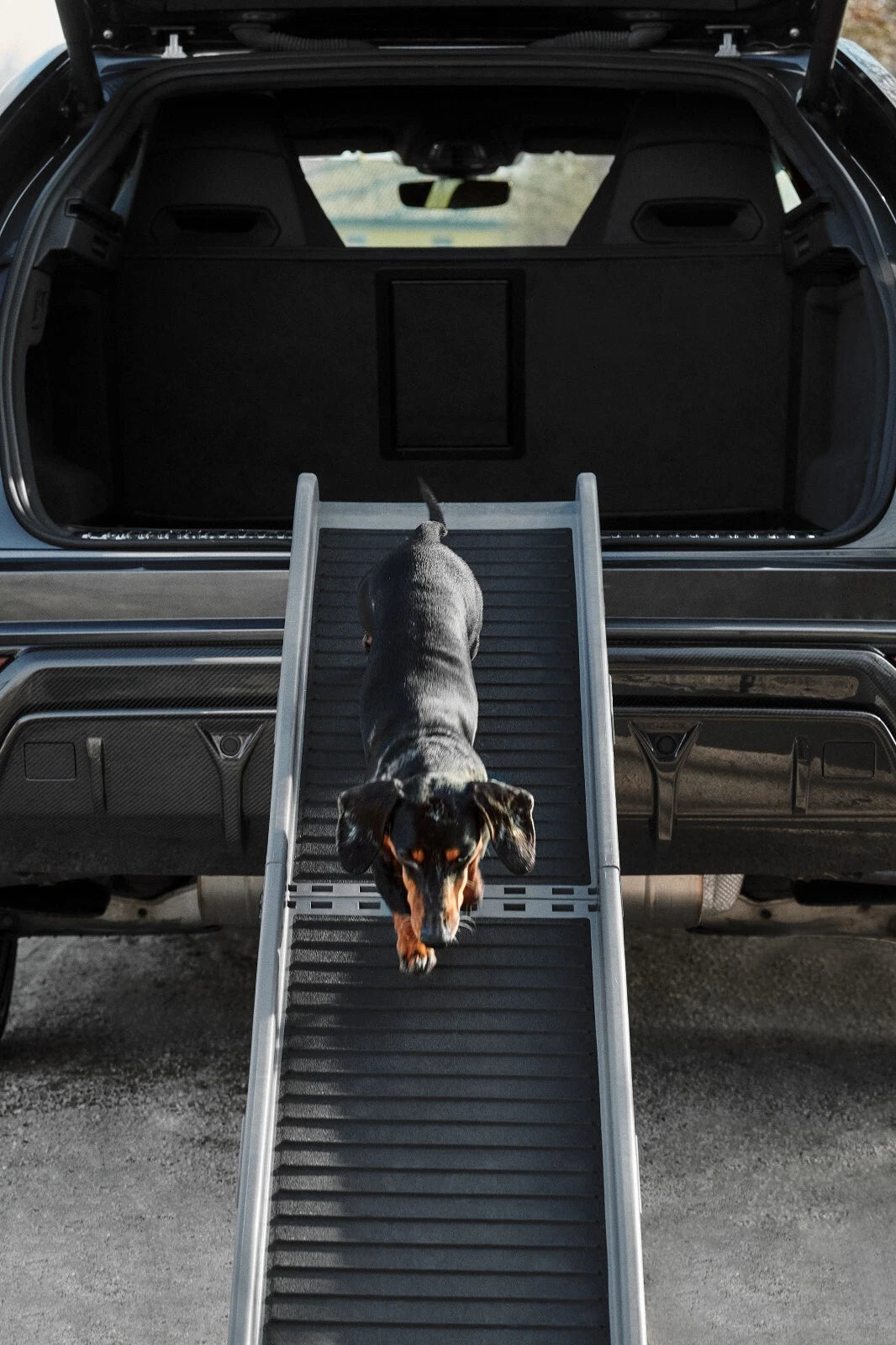 Lamborghini Urus Pet Ramp