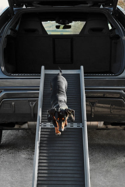 Lamborghini Urus Pet Ramp