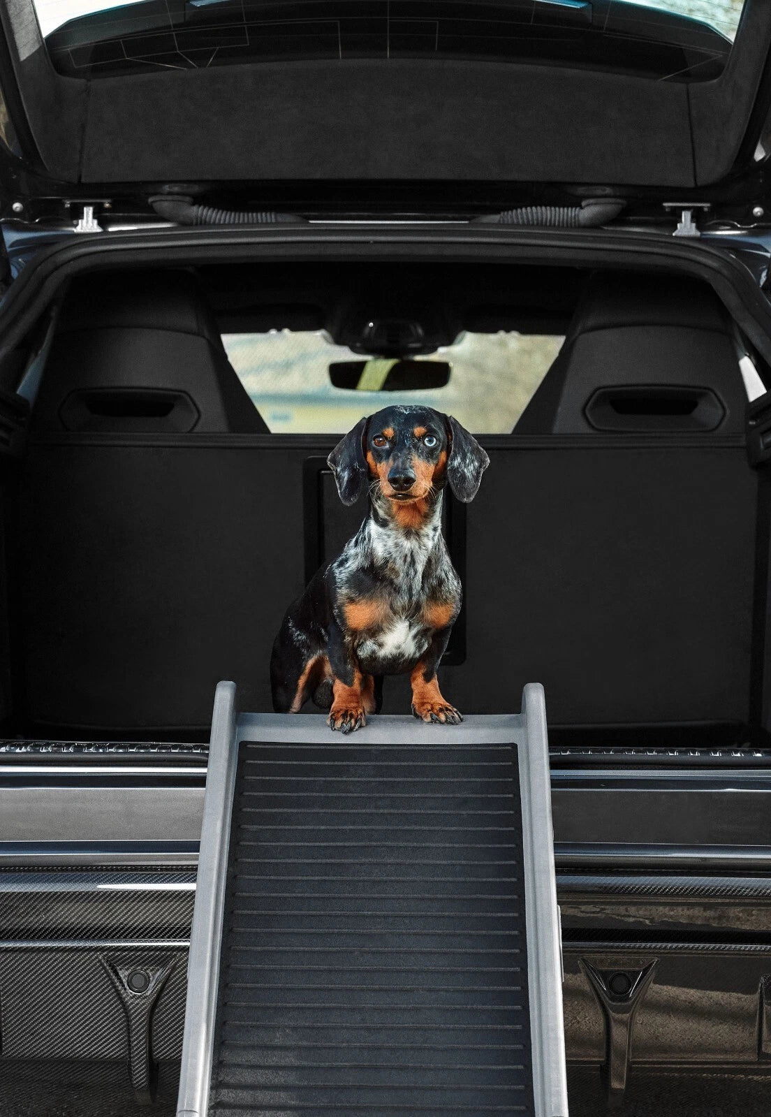 Lamborghini Urus Pet Ramp