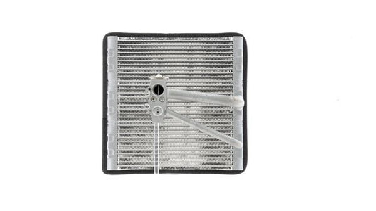 Mahle AE194000P - Evaporator, air conditioning