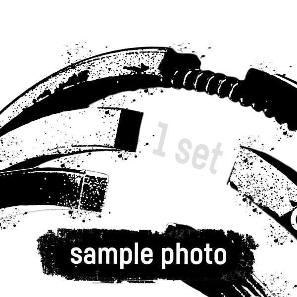 Mahle 22920N0 - Piston Ring Kit