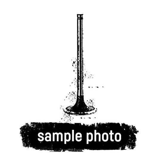 Mahle 013VE30794000 - Inlet valve