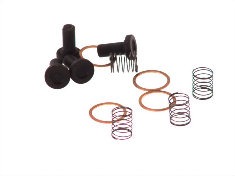BOSCH 2447010019 Distributor Repair Kit