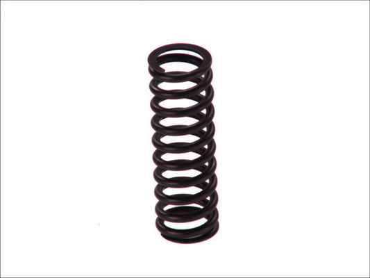 BOSCH 2-444-618-006 Spring