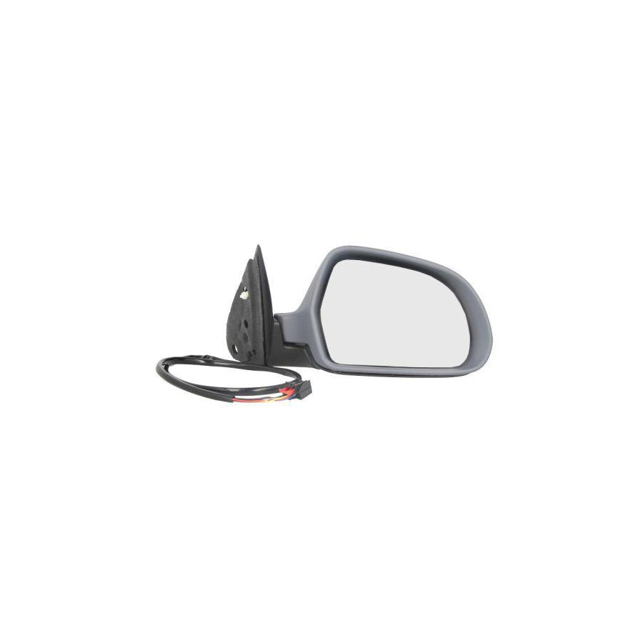 Blic 5402-04-1111524P Wing Mirror For Skoda Octavia