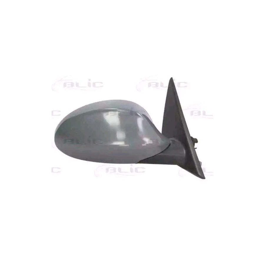 Blic 5402-05-021364P Wing Mirror